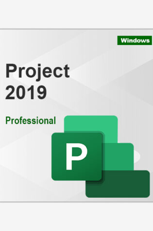 Project-2019-Professional-OPTKEYS