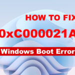 error 0xc000021a